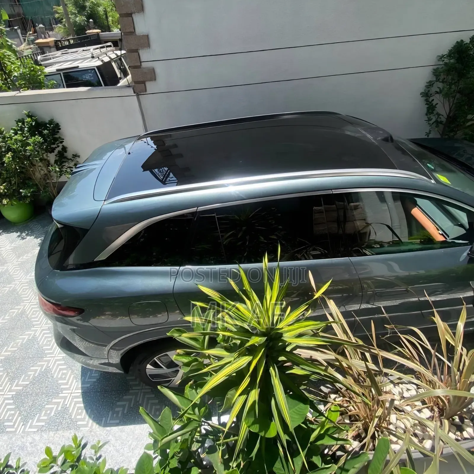 BYD Tang EV 2025 Green