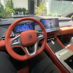 BYD Tang EV 2025 Green