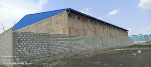የሚከራይና የሚሸጥ መጋዝን