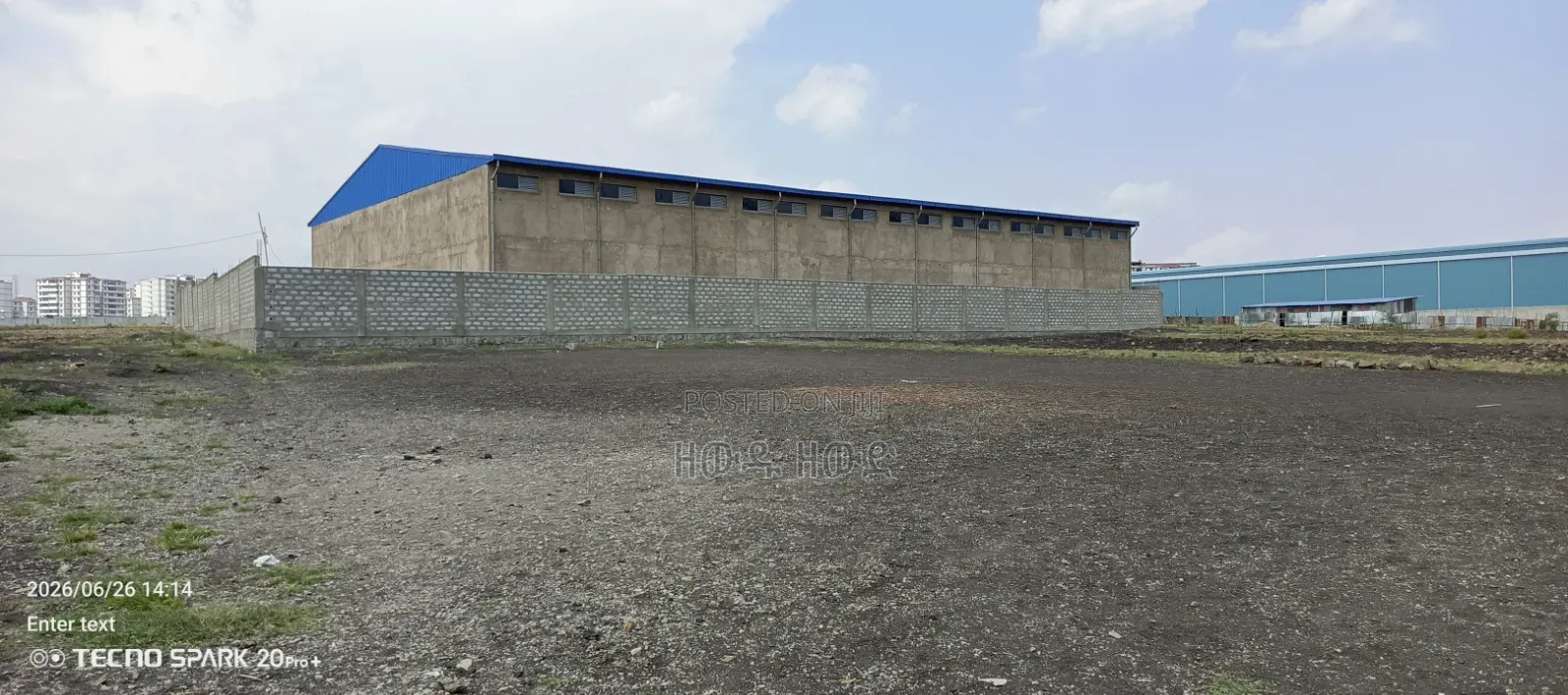 የሚከራይና የሚሸጥ መጋዝን