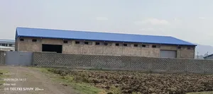 የሚከራይና የሚሸጥ መጋዝን