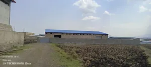 የሚከራይና የሚሸጥ መጋዝን