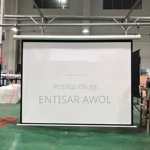 Motorized Projector Screen