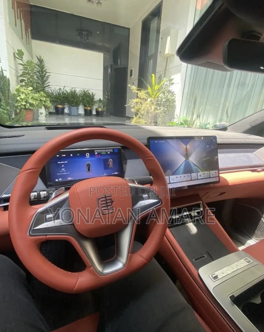 BYD Tang EV 2025 Green
