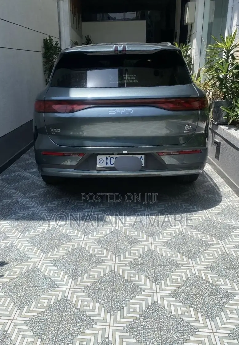 BYD Tang EV 2025 Green