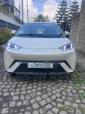 BYD Seagull 2025 White