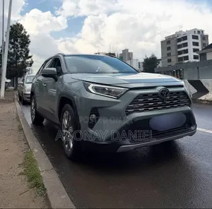 Toyota RAV4 Limited FWD 2020 Green