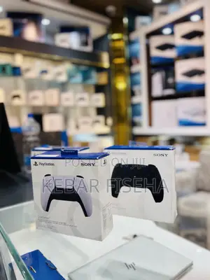 Ps5 Joystick