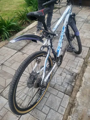 Longao Mountain Bike