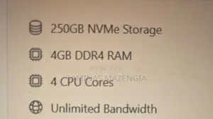 Server for Website Hosting
