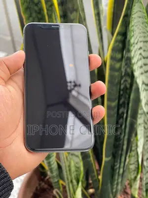 Apple iPhone 11 Pro Max 64 GB Bronze