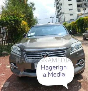 Toyota RAV4 2012 Gray