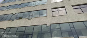 የሚሸጥ መጋዝን ለፋብሪካ የሚሆን