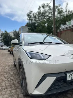 BYD Seagull 2024 Gray