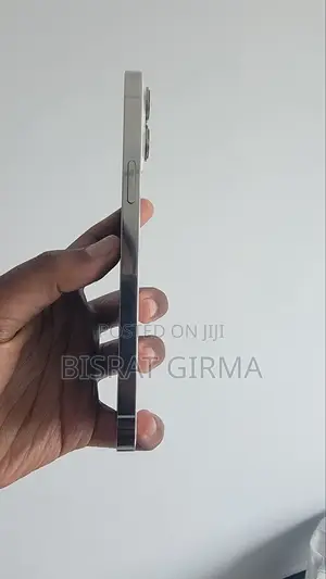 Apple iPhone 13 Pro Max 1 TB White