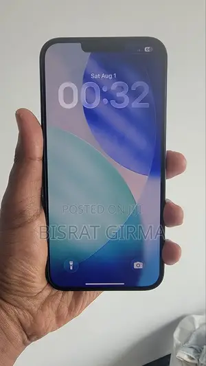 Apple iPhone 13 Pro Max 256 GB