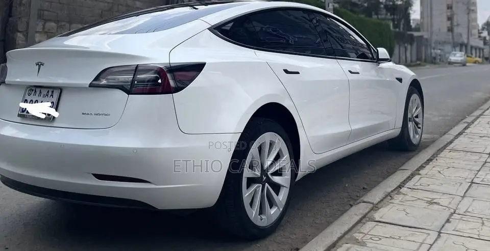 Tesla Model Y 2023 White