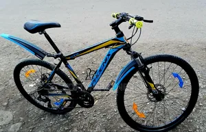 GTXzf1.0 Bike