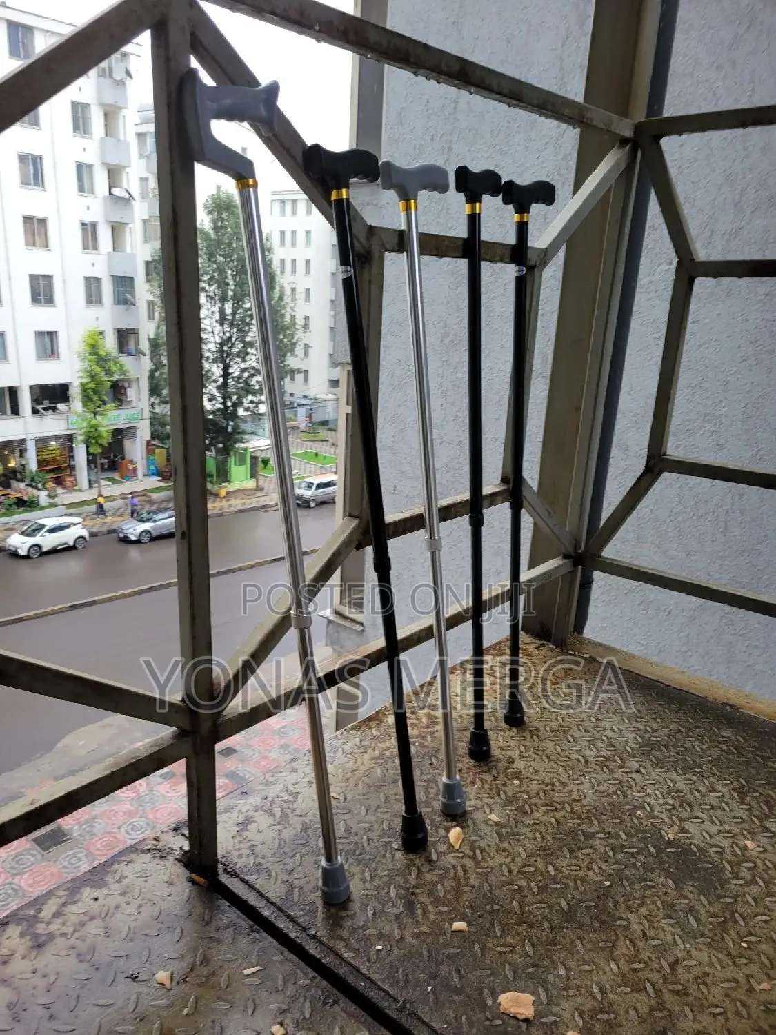 Walking Stick/Elderly cane疳雀Ideal for Those With a Smaller Stature.