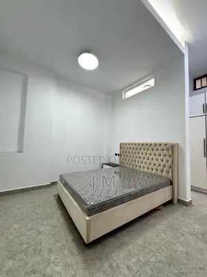 Furnished 1bdrm Apartment in Bole for rent