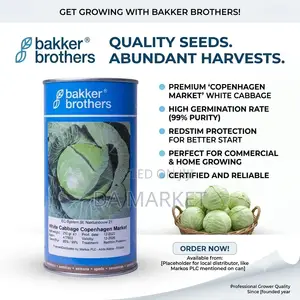 Bakker Brothers Cabbage Seeds.(ጥቅል ጎመን ዘር)