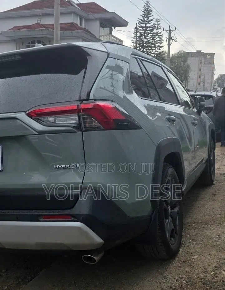 Toyota RAV4 2020 Green