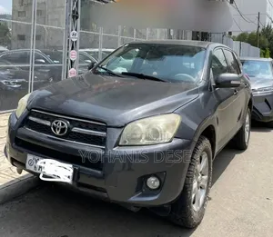 Toyota RAV4 2010 Gray