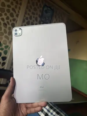 New Apple iPad Pro 256 GB Gray