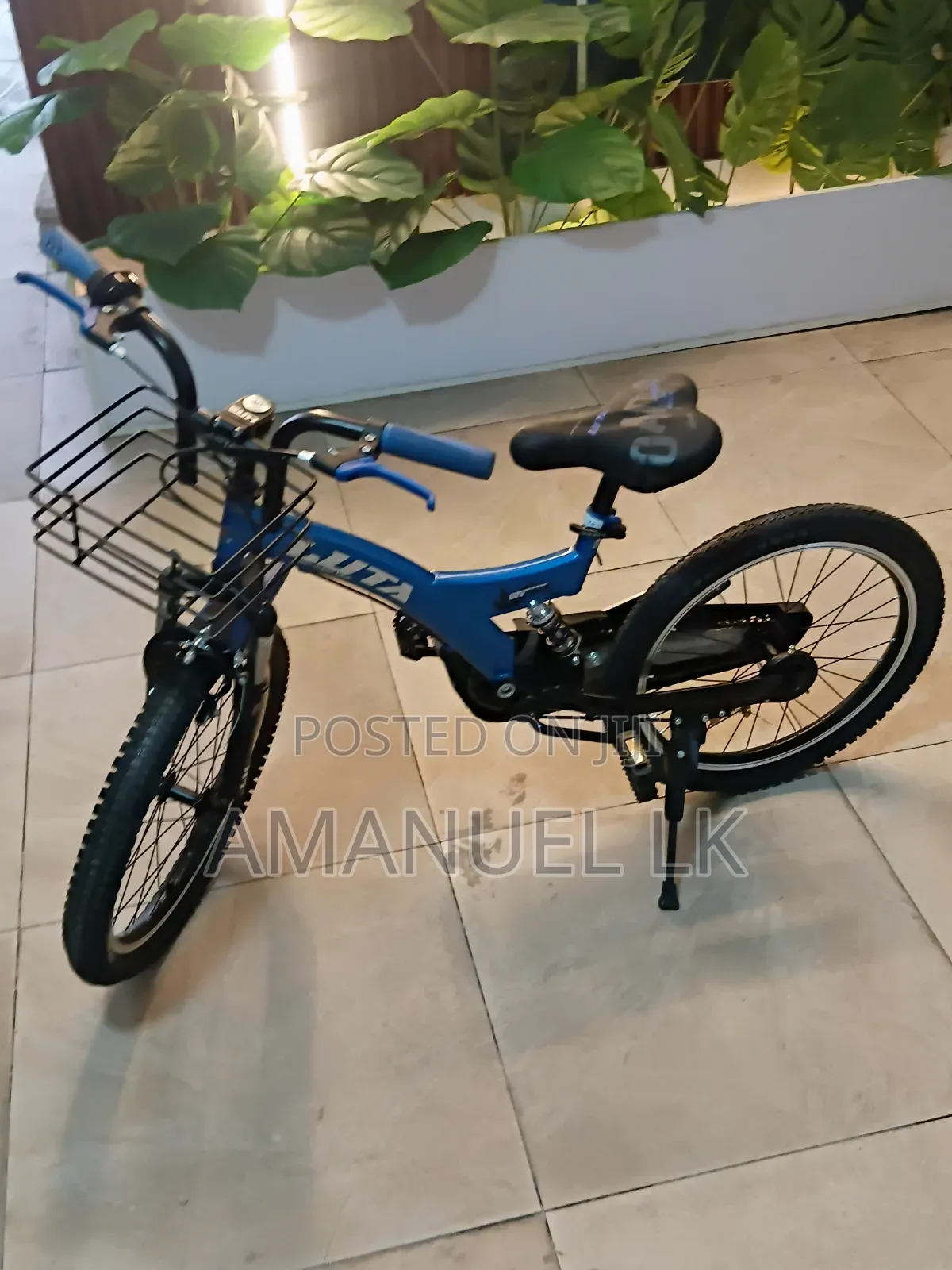 Luta Bicke 20 Inc