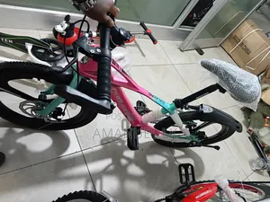 All Bick and Scooter