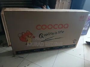 Coocaa 65inch Freemles