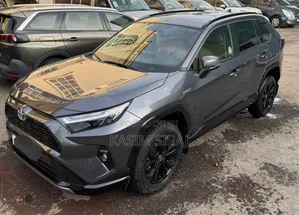 Toyota RAV4 2023 Gray