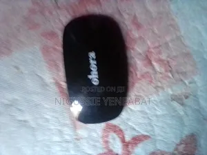 Computer Mouse