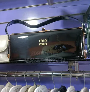 Leather Shoulder Bag / Structured Frame Clutch