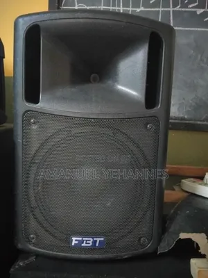 FBT maxX 4 Passive Speaker