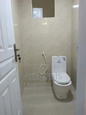 Furnished 2bdrm Condo in Bole Ayat for sale