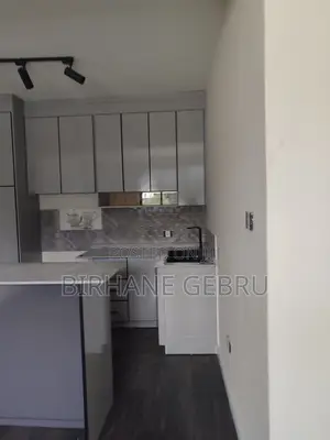 8bdrm House in G+3+Teracce, Bole for rent