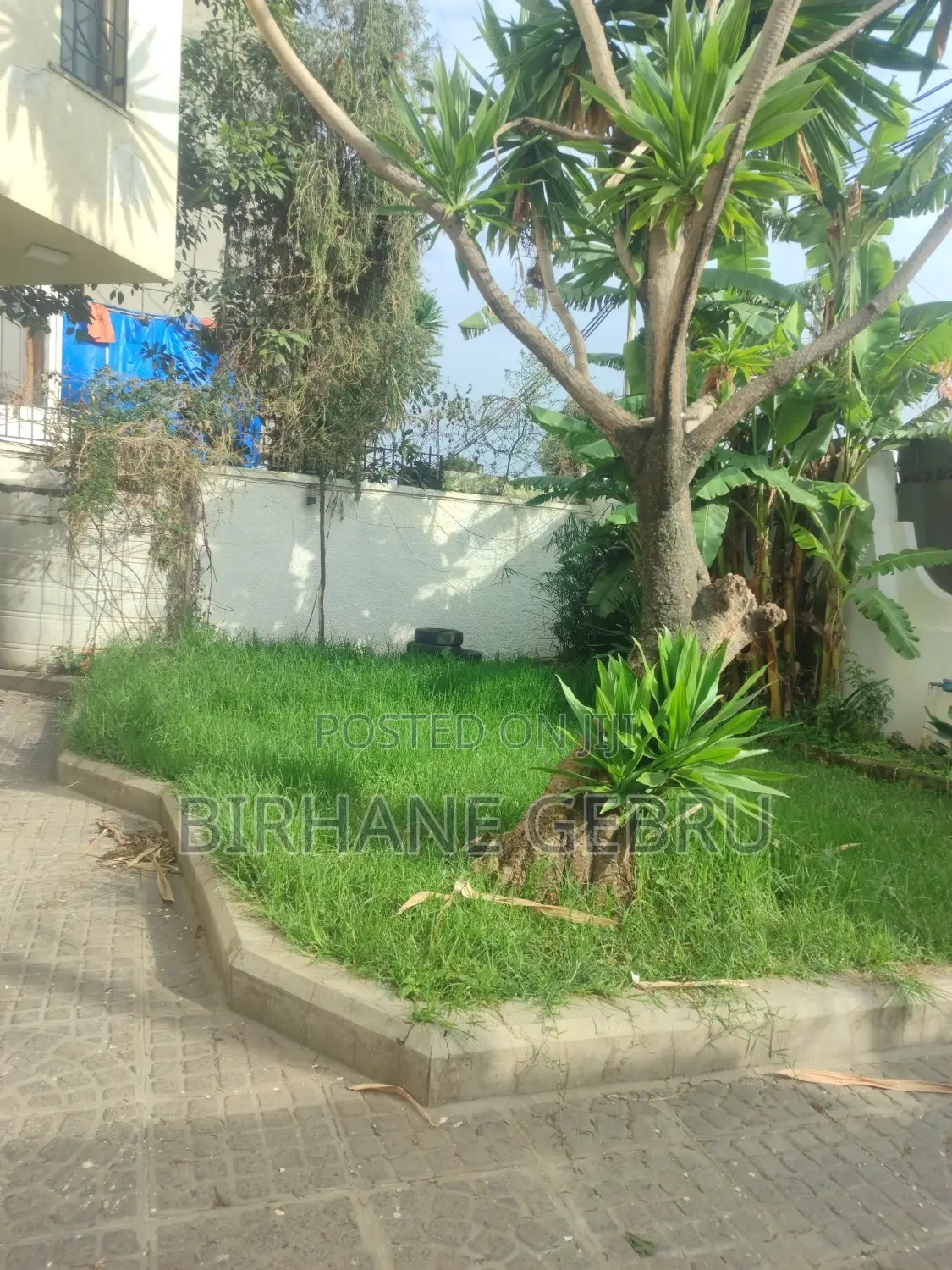 4bdrm House in G+1, Bole for rent