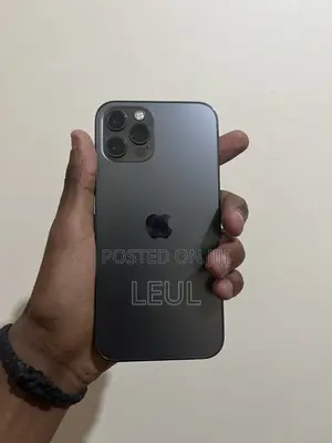 Apple iPhone 12 Pro 256 GB Gray