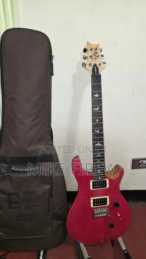 New PRS Se Custom