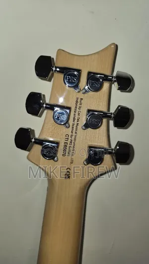 New PRS Se Custom
