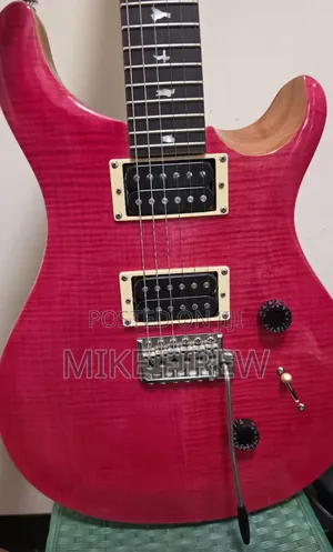 New PRS Se Custom