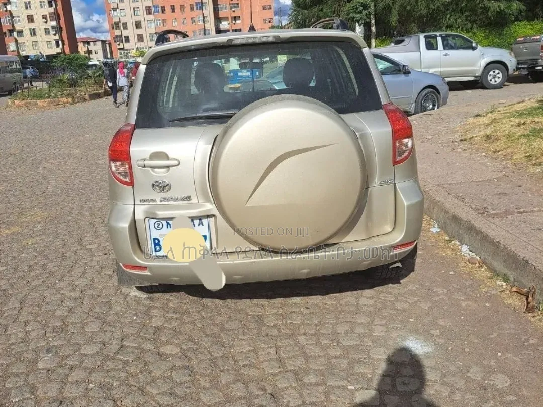 Toyota RAV4 2009 Gold