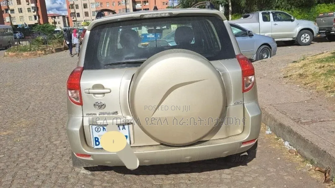 Toyota RAV4 2009 Gold