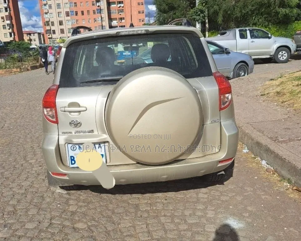 Toyota RAV4 2009 Gold