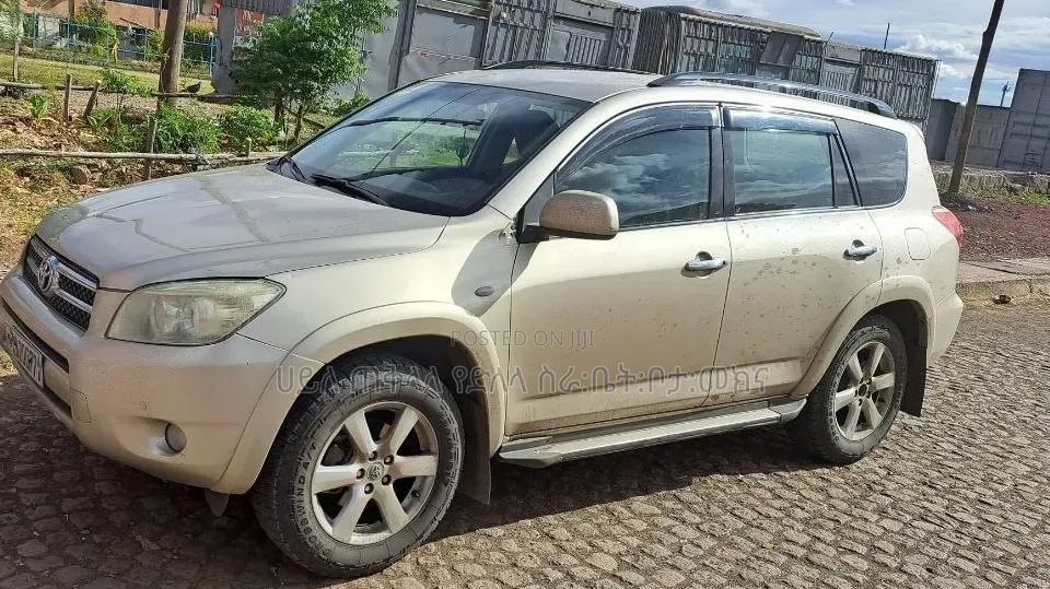 Toyota RAV4 2009 Gold