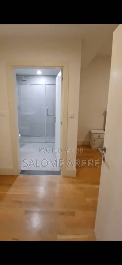 Furnished 2bdrm Apartment in Lagare Apartment, Lideta for rent