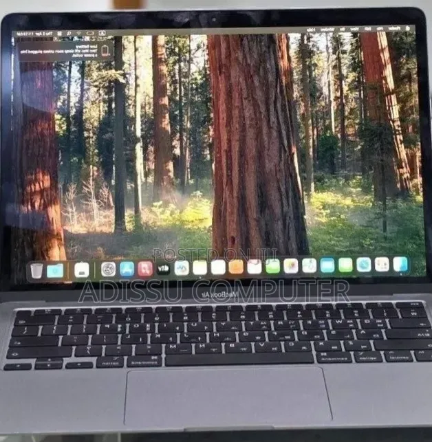 New Laptop Apple MacBook Air 2020 M1 8GB Apple M1 Pro SSD 256GB