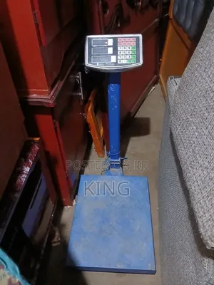 300kg Electric Mizan