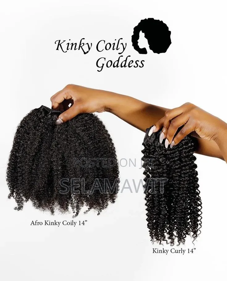 Afro Kinki Wig